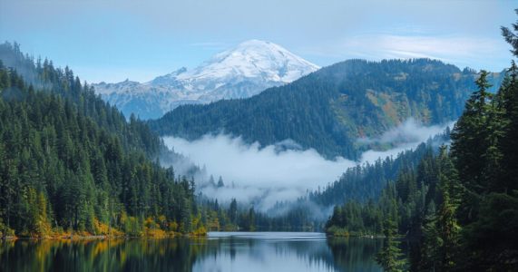 Gifford-Pinchot National Forest