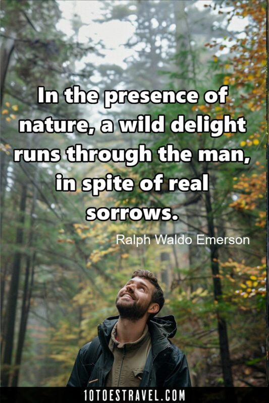 wilderness motivational quote