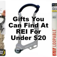 REI gifts under $20