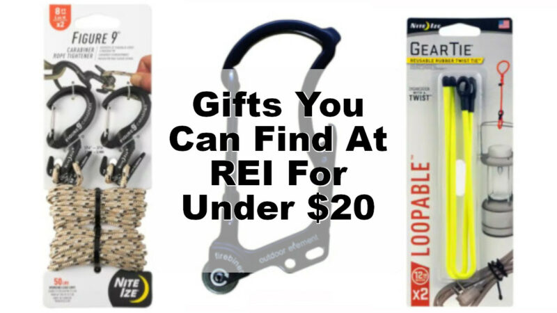 REI gifts under $20