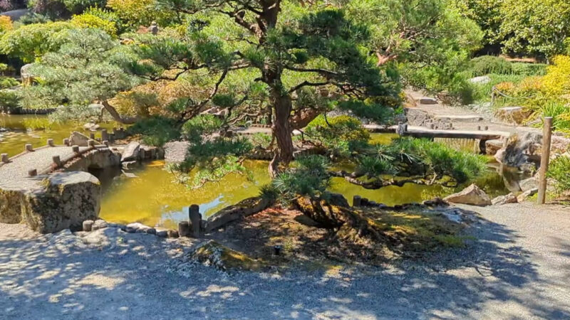 Seike Japanese Garden at the Highline Botanical Garden