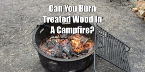 can you burn treated wood in a bonfire.