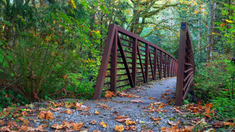 Fall in the Olympic National Park