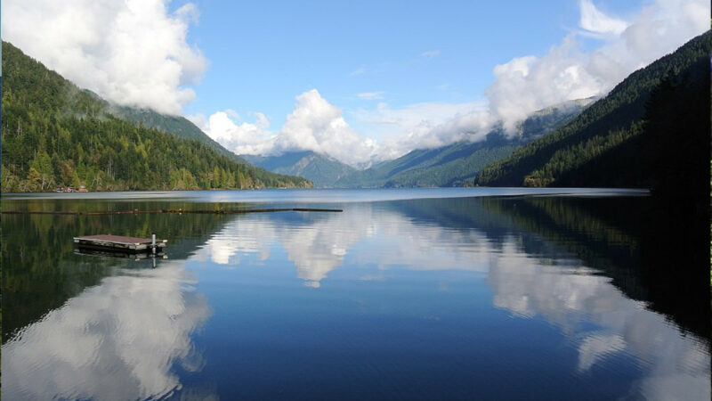 spring in the Olympic National Park