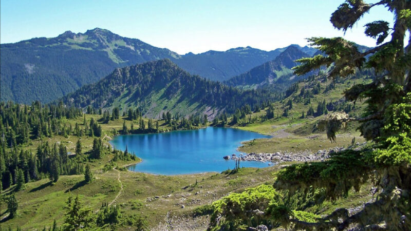 summer in the Olympic National Park