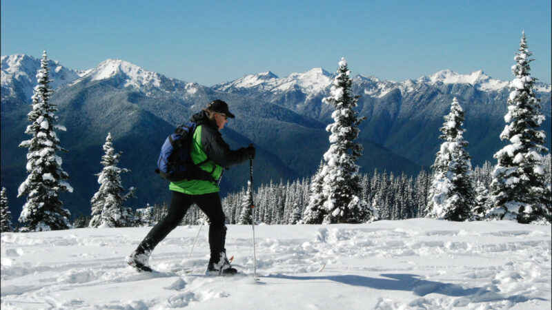 winter in the Olympic National Park